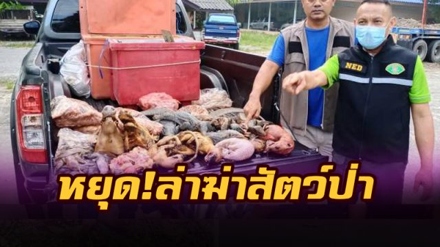 หยุด! ล่าฆ่าสัตว์ป่า