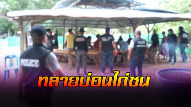 บุกทลายบ่อนไก่ชนเถื่อน