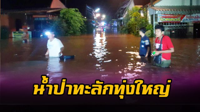 น้ำป่าทะลัก ทุ่งใหญ่