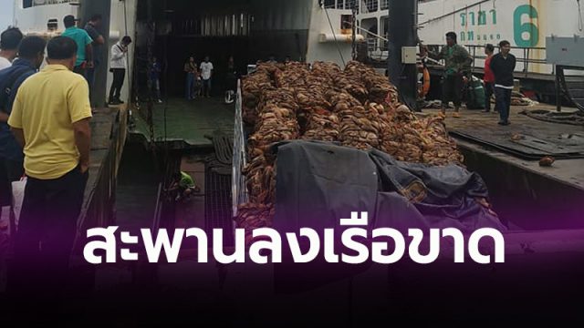 แลมป์สะพานลงเรือราชาเฟอร์รี่หัก