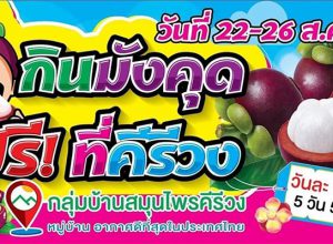 กินมังคุดฟรี