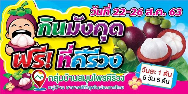 กินมังคุดฟรี กินมังคุดฟรี