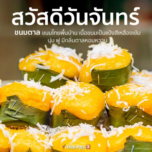 My Image 24