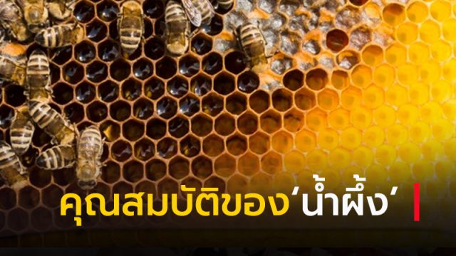 คุณสมบัติของ‘น้ำผึ้ง