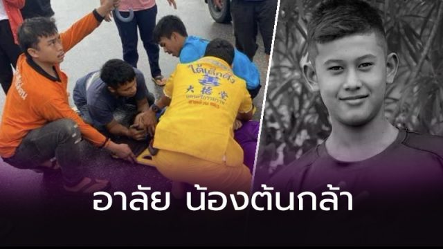 น้องต้นกล้า น้องต้นกล้า