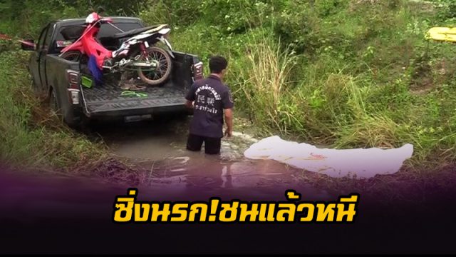 ชนแล้วหนี ชนแล้วหนี