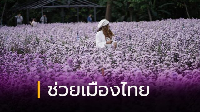 ออกไปช่วยเมืองไทย ออกไปเที่ยวเมืองไทย ออกไปช่วยเมืองไทย ออกไปเที่ยวเมืองไทย