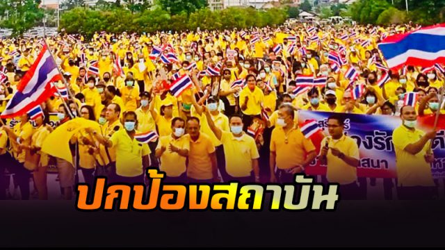 กิจกรรมปกป้องสถาบัน