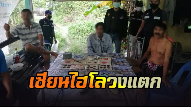 ไฮโลวงแตก