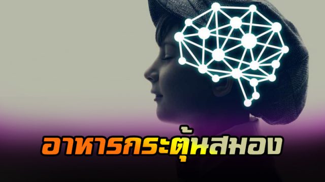 อาหารกระตุ้นสมอง อาหารกระตุ้นสมอง