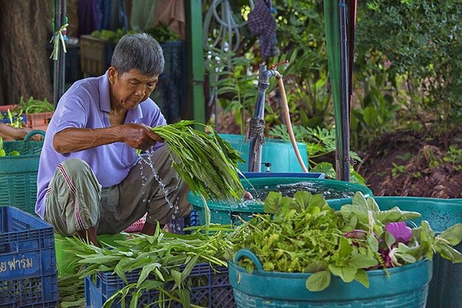 มังสวิรัติแบบยืดหยุ่น