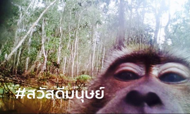 เขตห้ามล่าสัตว์ป่าบ่อล้อ ต.บ้านตูล อ.ชะอวด จ.นครศรีธรรมราช เขตห้ามล่าสัตว์ป่าบ่อล้อ ต.บ้านตูล อ.ชะอวด จ.นครศรีธรรมราช