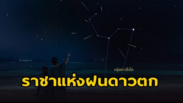 ราชาแห่งฝนดาวตก