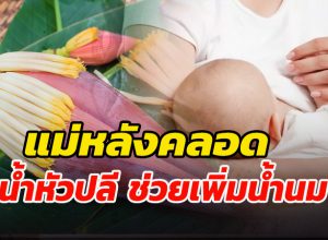น้ำหัวปลี ช่วยเพิ่มน้ำนม