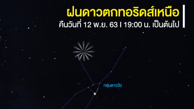 ฝนดาวตกทอริดส์เหนือ