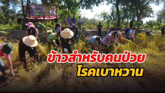 ข้าวสำหรับคนป่วยโรคเบาหวาน