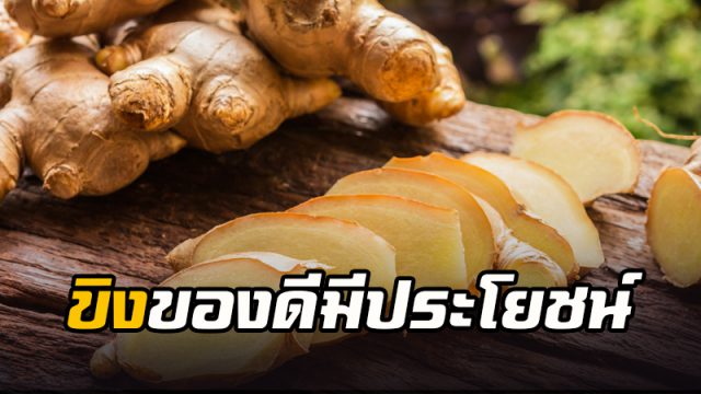 ขิงของดีมีประโยชน์