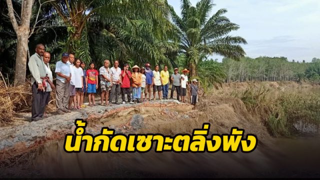 น้ำกัดเซาะตัดขาด ตลิ่งพังพืชผลถล่มลงในแม่น้ำ
