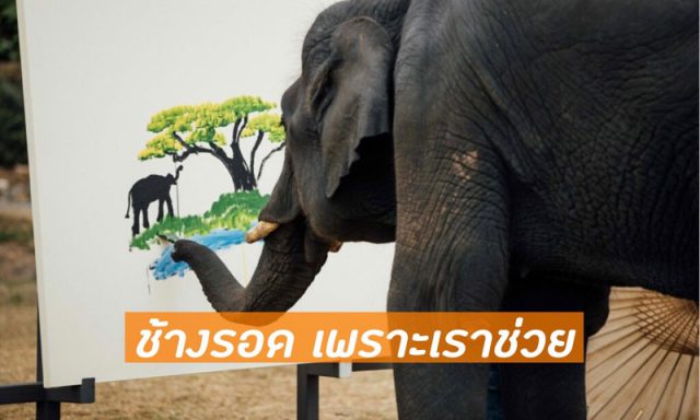 กิจกรรมเพื่อการกุศล “ART FOR ELEPHANT”