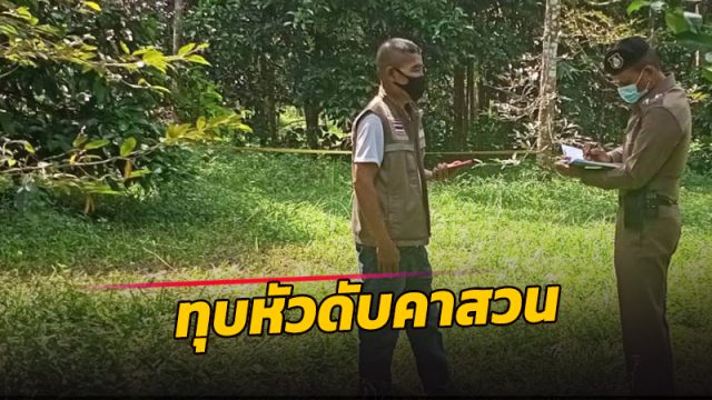 คนร้ายบุกทุบหัวหนุ่มเมืองคอน ดับคาสวน คาดปมชู้สาว ทำชะตาขาด
