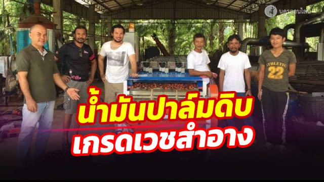 ม.วลัยลักษณ์วิจัยยกระดับน้ำมันปาล์มดิบ