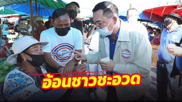 อนุชา