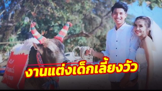 ขายวัวแต่งงาน
