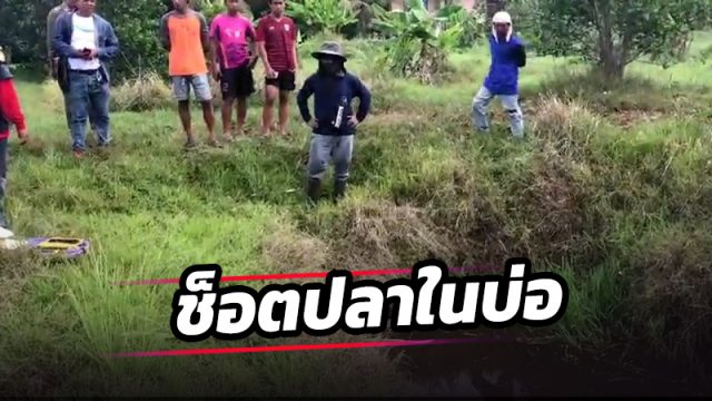 ชายช็อตปลาในบ่อ พลาดท่าถูกไฟดูดดับ
