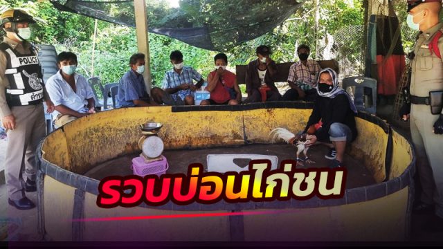 ตร.สิชล บุกรวบบ่อนพนันไก่ชน