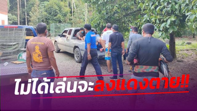 ชปพ.ปกครอง อ.พรหมคีรี บุกจับลักลอบเล่นการพนันไก่ชน-รวบ 8 ผู้ต้องหาพร้อมของกลาง