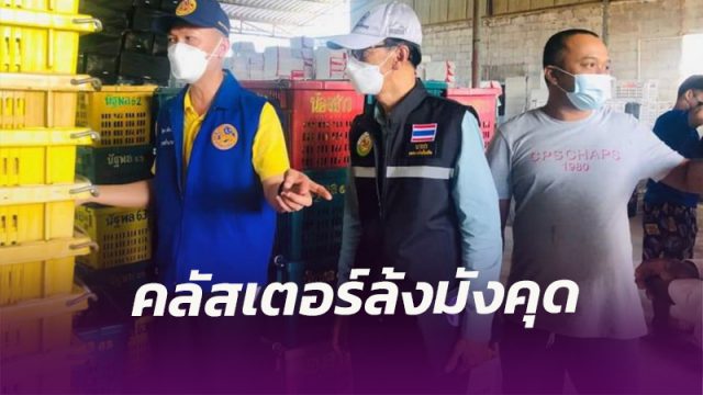 เมืองคอน พบคลัสเตอร์ใหม่คนงานล้งรับซื้อมังคุด ติดเชื้อ