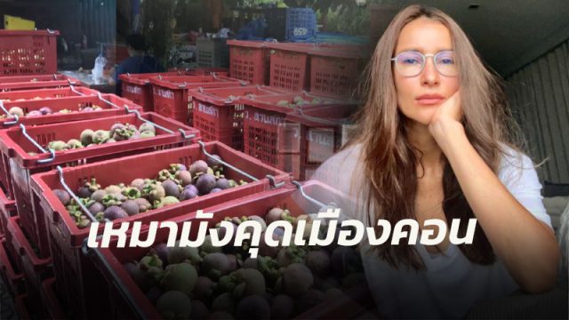 'แอน ทองประสม' ขอเหมามังคุด 3 ตัน ช่วยเกษตรกรแจกรพ.สนาม ในกทม.