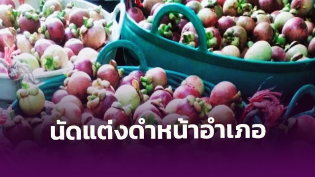 ชาวสวนมังคุด เมืองคอนลุกฮือ! ส่งเสียงสะท้อนปัญหาราคาตกต่ำ นัดรวมพลแต่งดำหน้าอำเภอพรหมคีรี 25 นี้