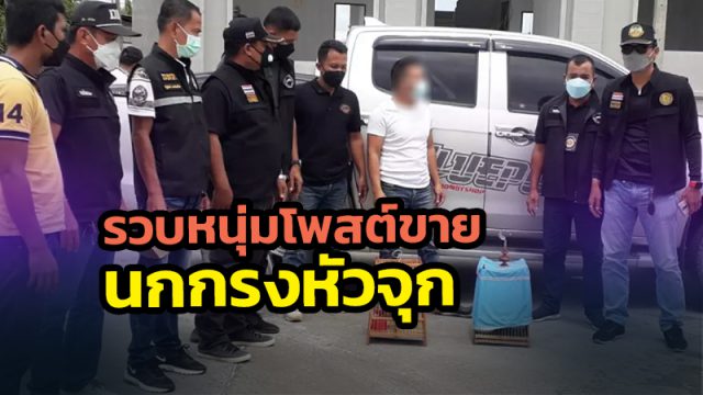 จนท.สปป.4 (ภาคใต้) รวบหนุ่มโพสต์ขายนกกรงหัวจุก ผ่านทางเฟซบุ๊ก