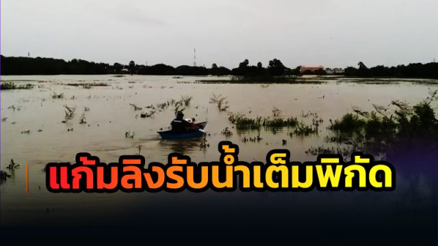 ฝนถล่มเมืองคอนต่อเนื่อง แก้มลิงรับน้ำเต็มพิกัด จ่อหลากเข้าท่วมเมือง