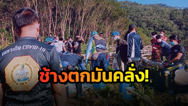 ช้างตกมันคลั่ง