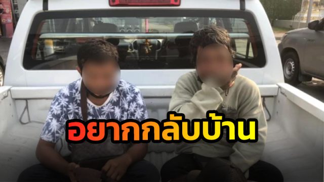 สองพี่น้อง