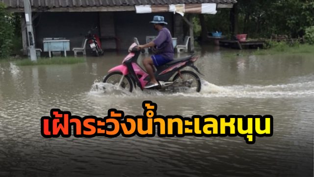 เตือนเฝ้าระวัง!! น้ำล้นตลิ่ง