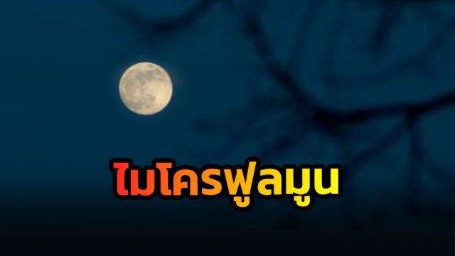 ไมโครฟูลมูน
