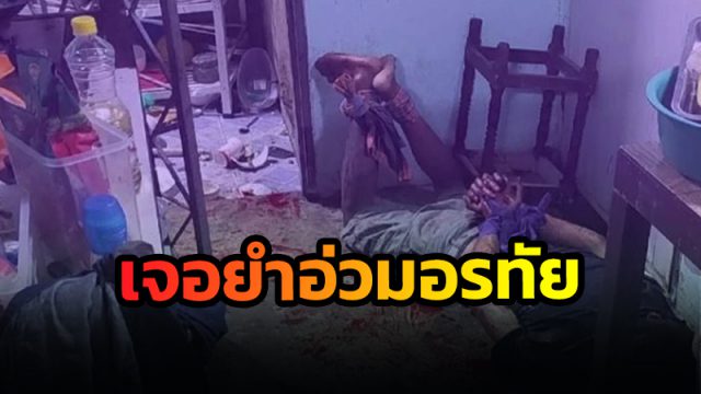 จุดจบตีนแมว