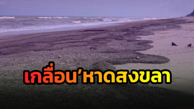'หินภูเขาไฟ'มาจากไหน