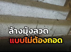 วิธีล้างมุ้งลวด