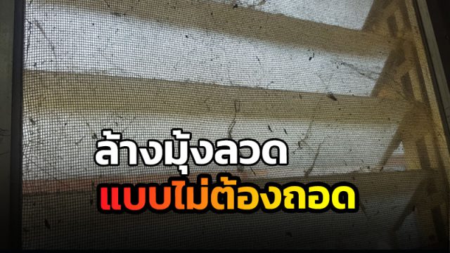 วิธีล้างมุ้งลวด วิธีล้างมุ้งลวด