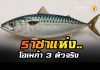 ราชาแห่งโอเมก้า 3 ตัวจริงไม่ใช่ 'แซลมอน'